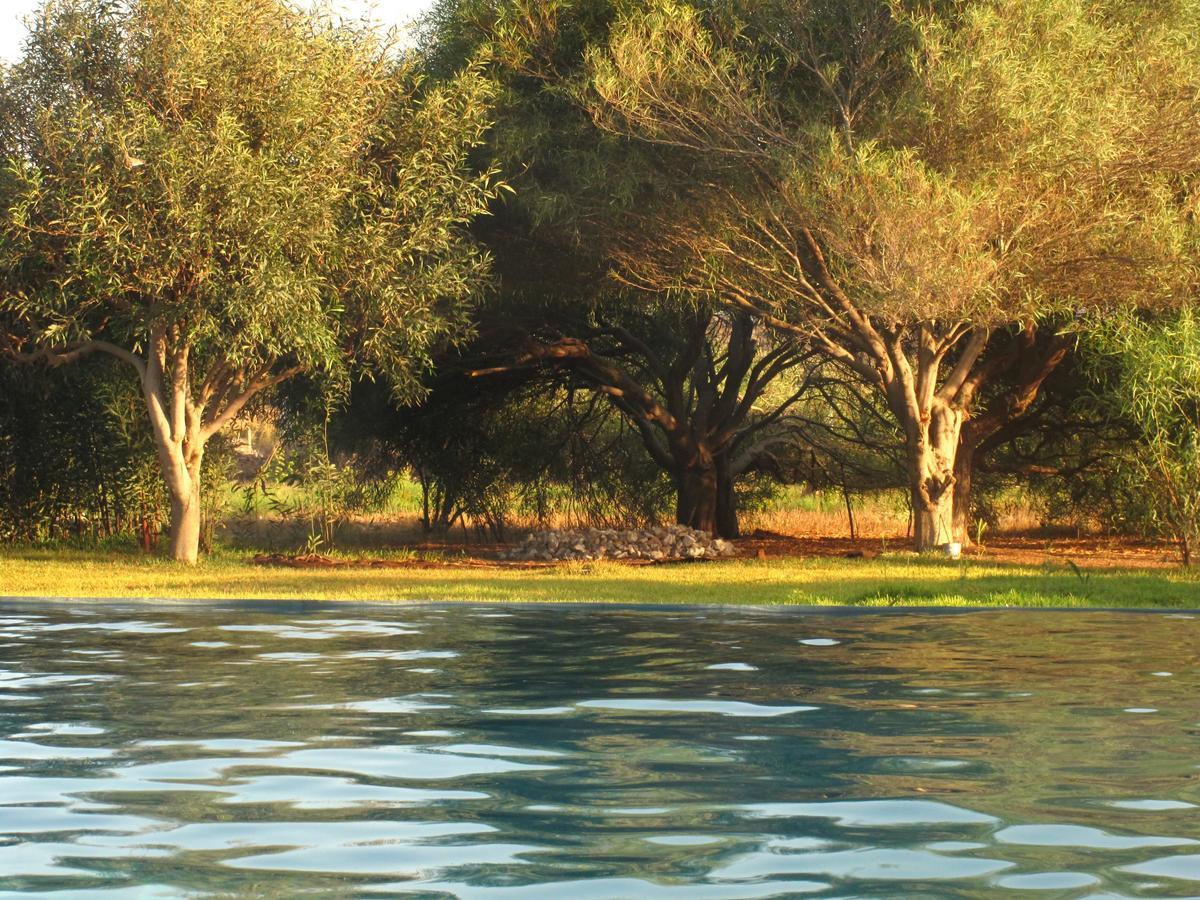 Kazen Garden Essaouira